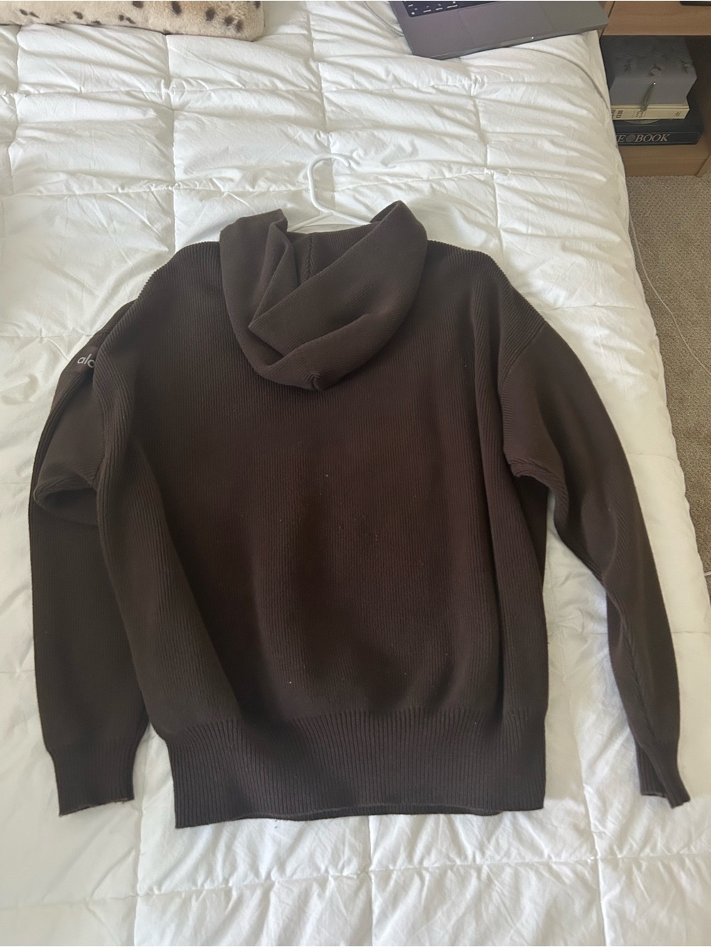 Alo Scholar Hooded Sweater - Picture 3 of 4